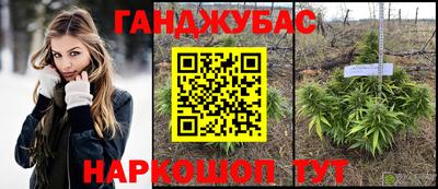 СК Славгород