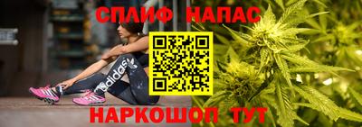 СК Славгород